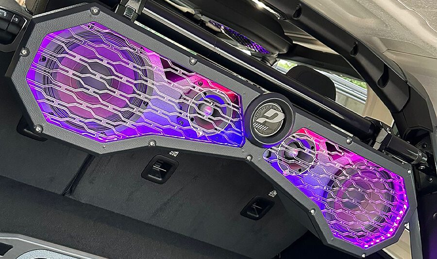 cajon neon morado pitbulls